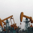 Экологи не дают нефтяникам вести разведку месторождения в Монголии - Бабр.Ru