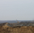 Фото пресс-службы ОНФ - Irk.Ru