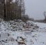 Стихийная свалка. Фото пресс-службы ОНФ - Irk.Ru