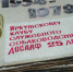 О популярности восточноевропейских овчарок и лаек в 50—60-х годах рассказывают  архивные альбомы старейшего областного клуба служебного собаководства. К слову, и клички у псов тогда были другие — все больше Графы и Мухтары. - Газета СМ Номер один