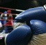 BOXEO MEDIANO COLOMBIA - PARAGUAY - Газета Областная