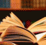 Международный книжный фестиваль состоится в мае в Иркутске - Бабр.Ru