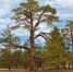 IMG_2559 - Газета Областная
