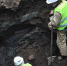 1491173615_thumb_main - Sibnovosti.ru