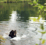 924935076_thumb_main - Sibnovosti.ru
