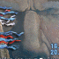 О чем молчит Байкал? - PriBaikal.Ru