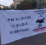 Молодые эсеры встали в ряды зоозащитников - Справедливая Россия