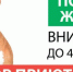 Зоозащитники Иркутска объявили массовую акцию по сбору помощи для приютов города - ИА Байкал Инфо