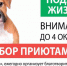 Иркутян призывают оказать помощь животным в приютах - NewIrkutsk.Ru
