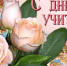 Коллектив школы №72 поздравила с Днем учителя председатель Думы Иркутска Ирина Ежова - 38Rus.Com