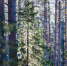 1494370927_thumb_main - Sibnovosti.ru