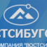 Налоговые и приравненные к ним платежи по компании в 2017 году выросли на 0,3 млн руб. и составили 3,3 млрд - Сибирские новости