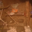 Image 1 - Газета Областная