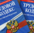 Проверка выявила нарушения трудовых прав работников Тулунского психоневрологического диспансера - Сибирские новости