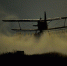 1473303933_thumb_main - Sibnovosti.ru