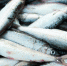 959443148_thumb_main - Sibnovosti.ru