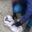 Скрин видео пресс-службы ГУ МВД России по Иркутской области - Irk.Ru