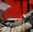 1477081950_thumb_main - Sibnovosti.ru