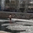 Жители Благовещенска возмущены городским моржом - NewIrkutsk.Ru