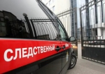 Детали преступления в отношении девятилетней девочки в Братске не разглашаются в интересах следствия