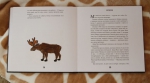 Картинки для книги нарисовал друг Филиппа — Никита Зеленко