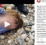 На берегу Байкала в Слюдянском районе найдено тело женщины - ИА Байкал Инфо