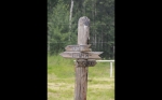 Дом для зэков image 7