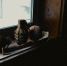 Hand-grenade-1188393_640_thumb_main - Sibnovosti.ru