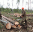 DSCN1187 - Газета Областная
