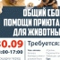 Иркутян просят собрать продукты и лекарства для животных - ИА Байкал Инфо