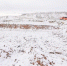 ____thumb_main - Sibnovosti.ru