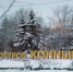 Фото IRK.ru - Irk.Ru