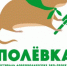 Фестиваль добровольческих экопроектов «Полёвка» впервые пройдет в Иркутске - Сибирские новости