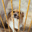 Фото — IRK.ru - Irk.Ru