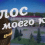 Телепроект «Голос моего края» состоялся в Шелеховском районе - NewIrkutsk.Ru