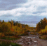 Парк тысячелетия планируют построить в Братске - NewIrkutsk.Ru