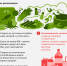 Рекомендации гражданам о здоровом питании - Роспотребнадзор