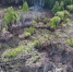 Беспилотники сняли на видео горящие торфяники в Иркутской области. Фото: скриншот видео. - Комсомольская правда
