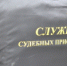 Судебными приставами взыскан уголовный штраф с «черного лесоруба» - УФССП