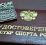 Мастера спорта России удостоились два спортсмена Иркутской области - Сибирские новости