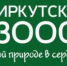 Инклюзивный фестиваль «Счастье для всех» пройдет в Иркутском зоосаде - Сибирские новости