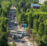 Аллея сирени появится в иркутском Академгородке - Сибирские новости