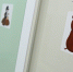 ____________thumb_main - Sibnovosti.ru