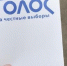 «Голос» сообщил о нарушениях на выборах в Приангарье - ИА Байкал Инфо