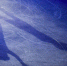 Rian_5827050.lr.ru_thumb_main - Sibnovosti.ru