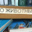 В библиотеке Дома природы будет много книг о животных. Фото: Людмила Ивушкина. - Комсомольская правда