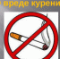 В Иркутске проходят акции для студентов «Курение. Факты о вреде табакокурения» - Администрация г. Иркутск