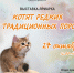 В Иркутске пройдет «Ярмурка котят» - ИА Байкал Инфо