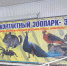 С 1 января 2020 года размещать выставки животных в торговых центрах запрещено - Газета Копейка