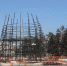 Главную новогоднюю елку начали устанавливать в Иркутске - Администрация г. Иркутск